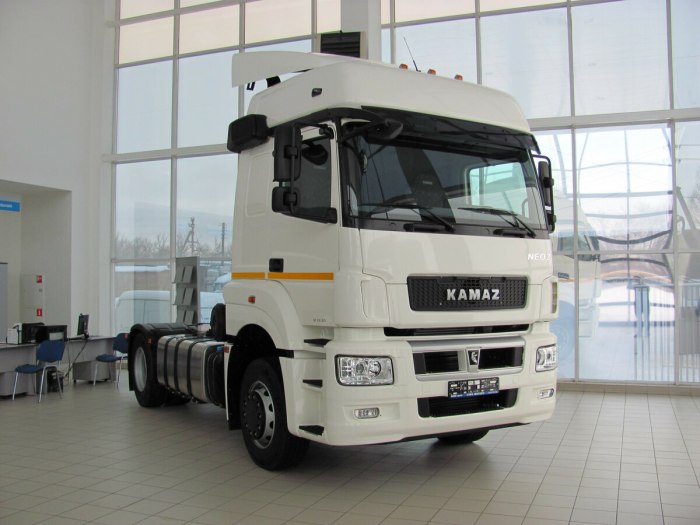 КАМАЗ 5490-033-87 (s5)
