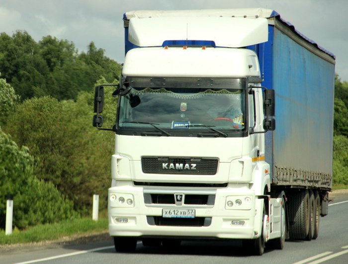 КАМАЗ 5490 2011