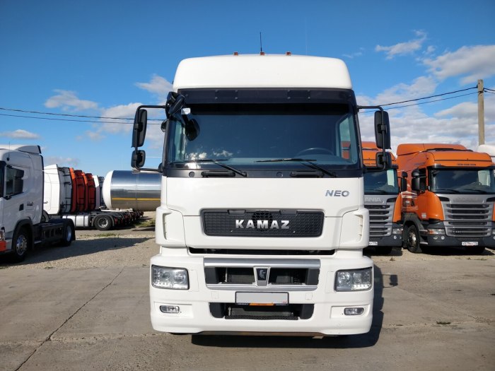 КАМАЗ 5490-023-87 (s5)