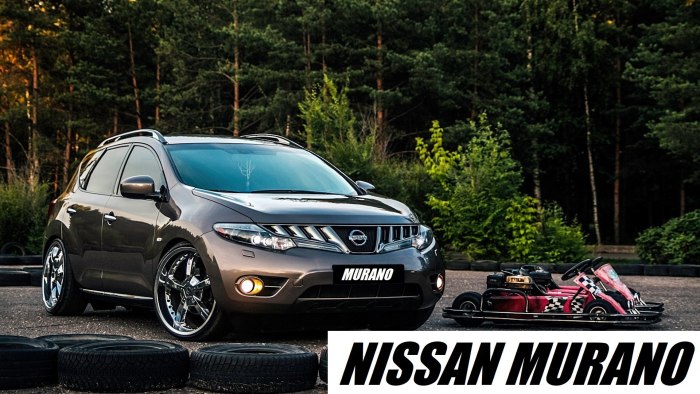 Nissan Murano z51