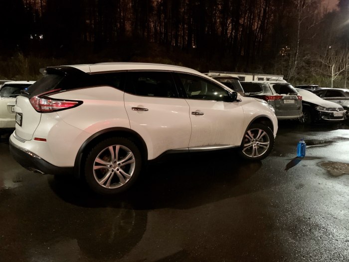 Nissan Murano r22