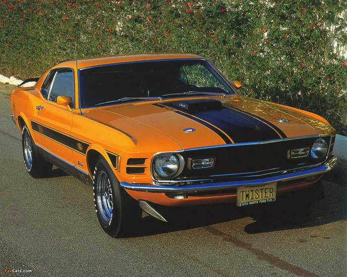 Ford Mustang Mach 1 Twister Special