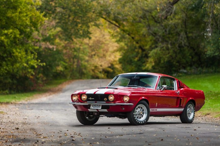 Ford Mustang Shelby gt500 1967