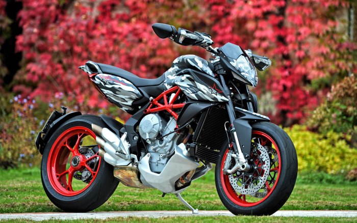 Мотоцикл MV Agusta Rivale
