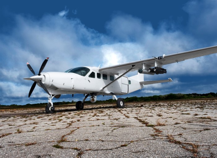 MC-145b Wily Coyote