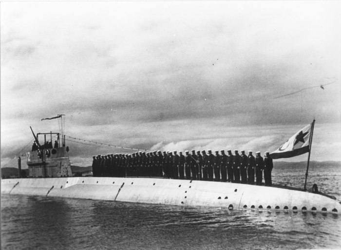Подводная лодка д-2 «Народоволец»