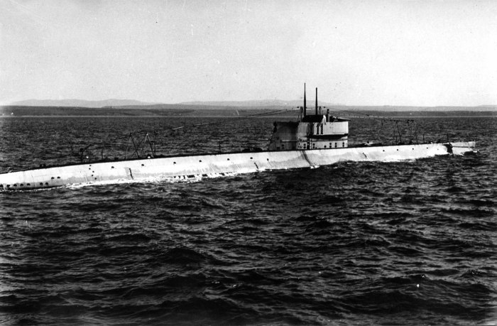 Подводная лодка д-2 «Народоволец»