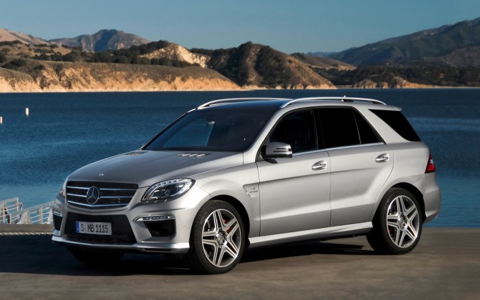 Mercedes Benz m class w166