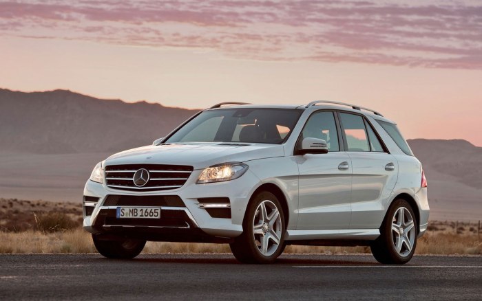 Mercedes Benz ml class w166