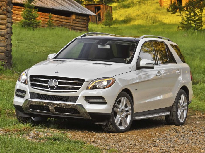 Mercedes Benz ml 350
