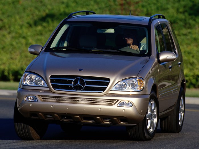 Mercedes-Benz m-class ml320