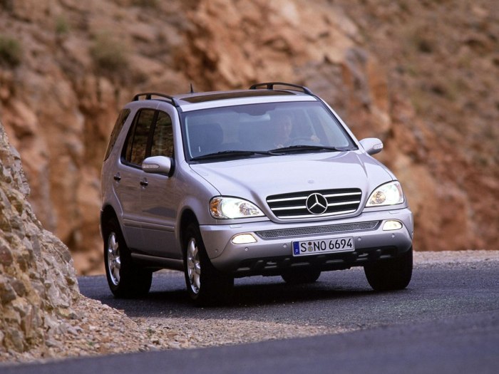 Mercedes Benz ml 163