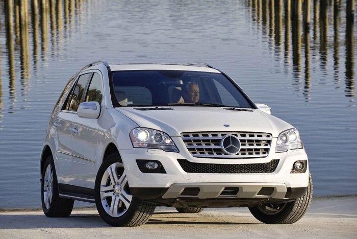 Mercedes-Benz m-class (w164)