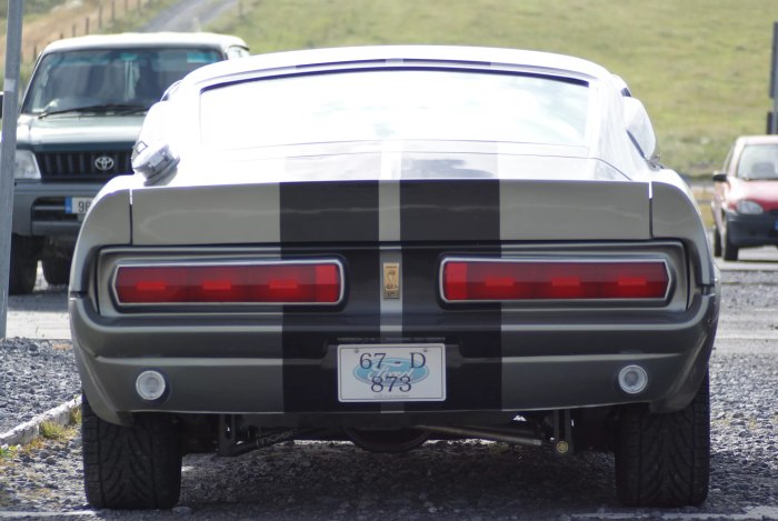 Shelby gt500 1967 сзади