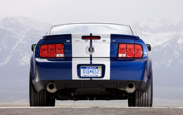 Ford Mustang Shelby gt500 сзади