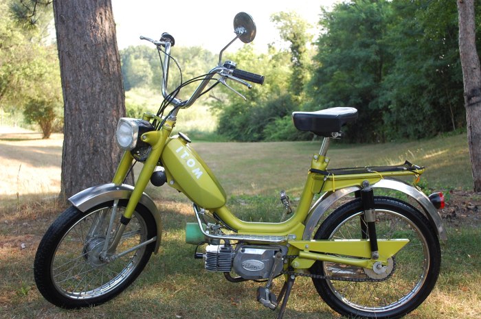 Italian Moped