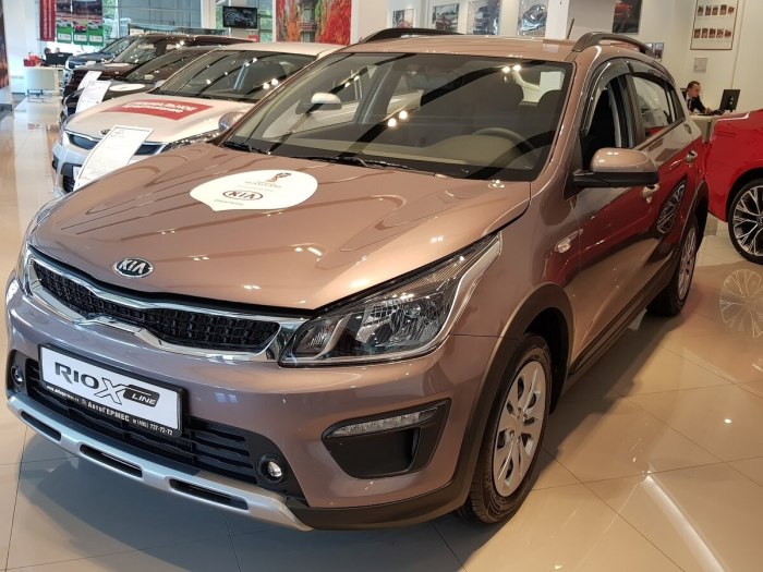 Kia Rio x-line 2019 коричневый