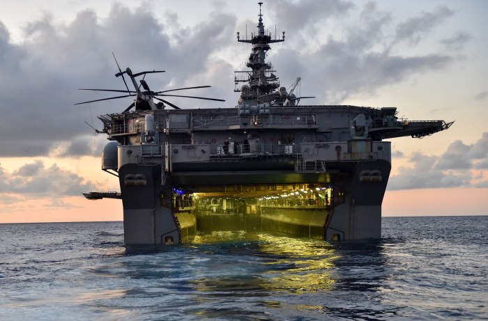 Wasp-class Amphibious Assault ship