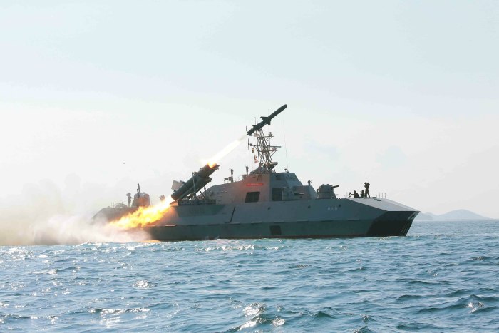 Военно морской флот Северной Кореи