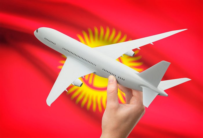 Самолет с флагом