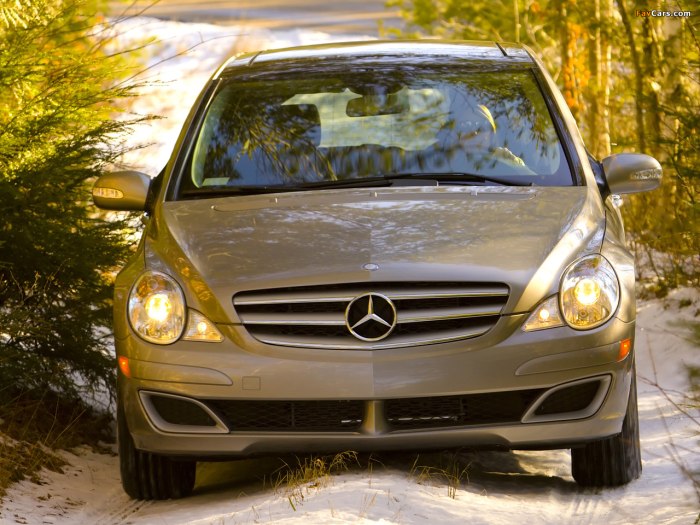 Мерседес-Бенц r320 CDI 2007