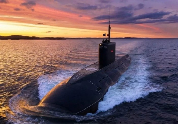 Палтус подводная лодка пр877