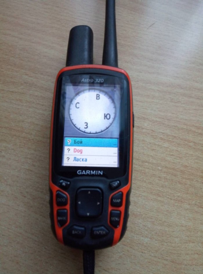 Garmin Astro 320 с ошейником dc50