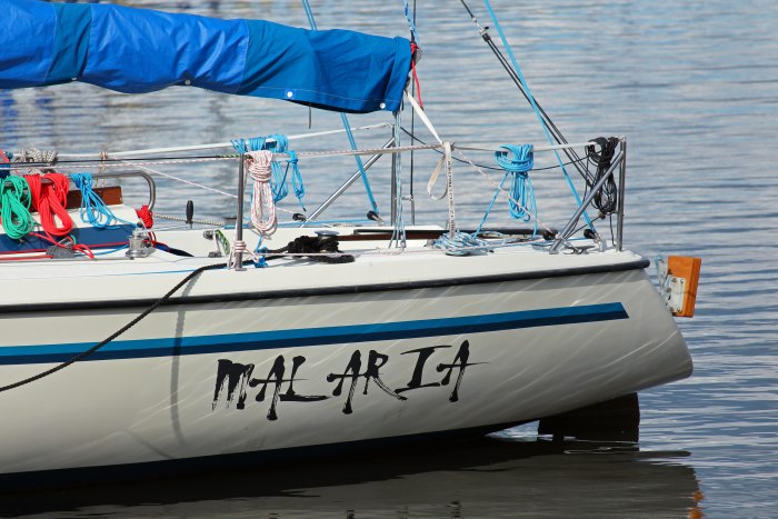 Название лодок