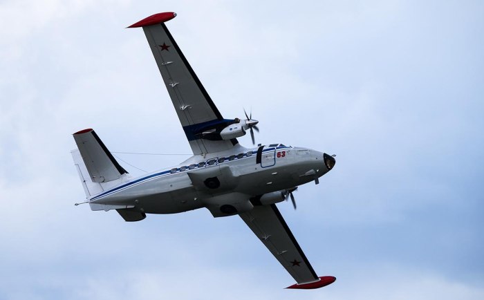 Л-410 самолет