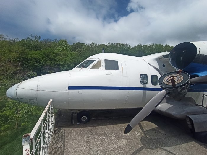 Ln 410 самолёт