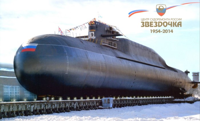 Подлодка 667 БДРМ