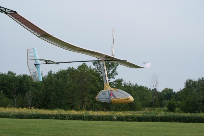 Snowbird орнитоптер