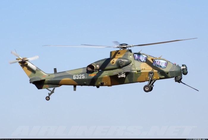 CAIC WZ-10
