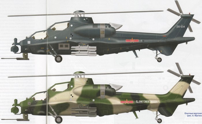 Wz10 Cutaways