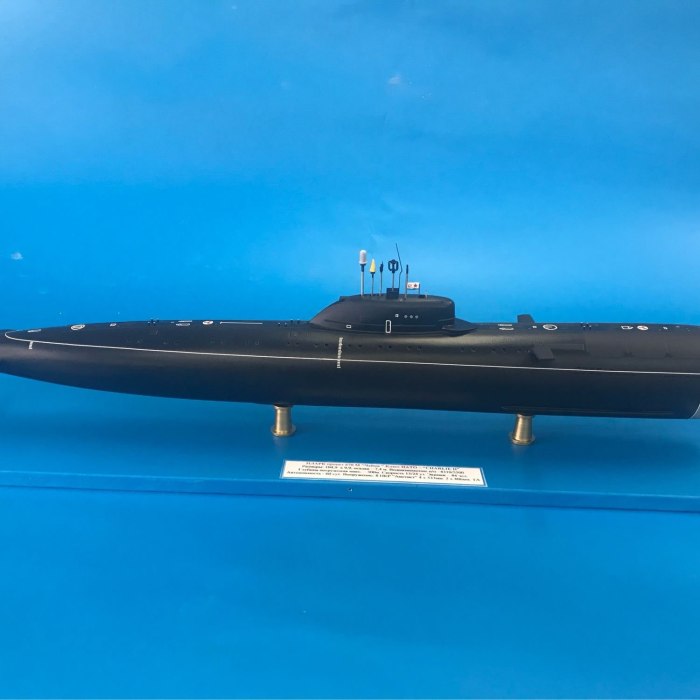 Подводная лодка 670м "Беркут"