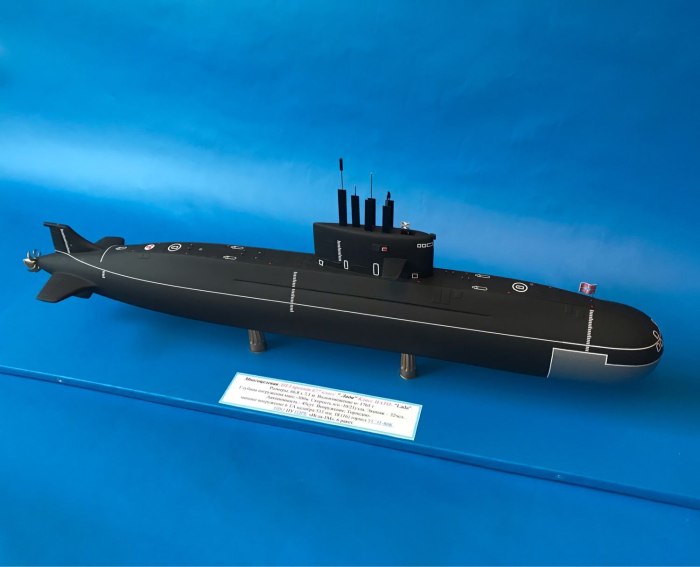 Амур 1650 подводная лодка