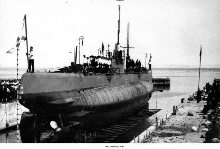 Подводная лодка типа Барс 1916