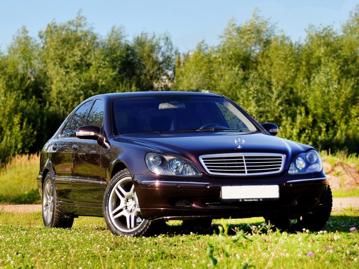 Mercedes s class w220
