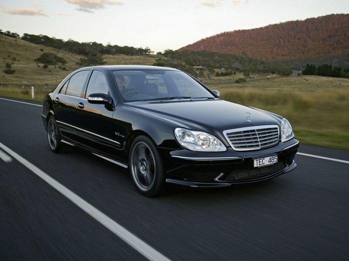 Mercedes s class w220