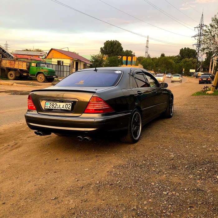 Мерседес лиса 220