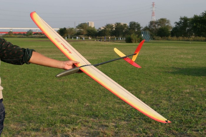 Планер RC Glider