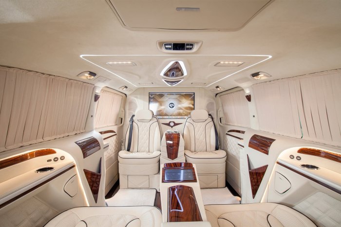 Mercedes Benz v class VIP 2020