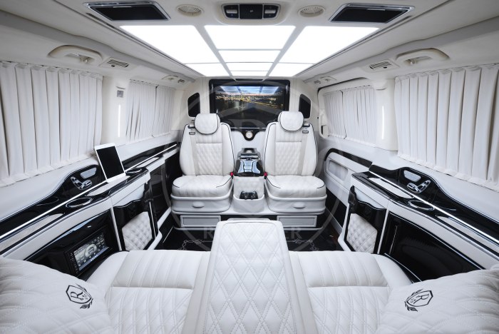 Mercedes Benz v class VIP 2020
