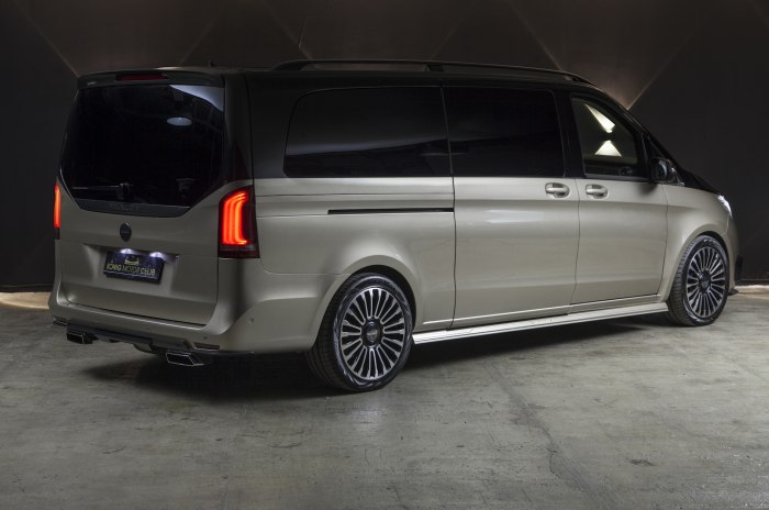 Двухцветный Mercedes Viano