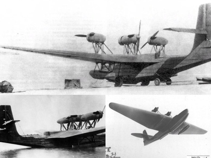 МДР-6 самолет