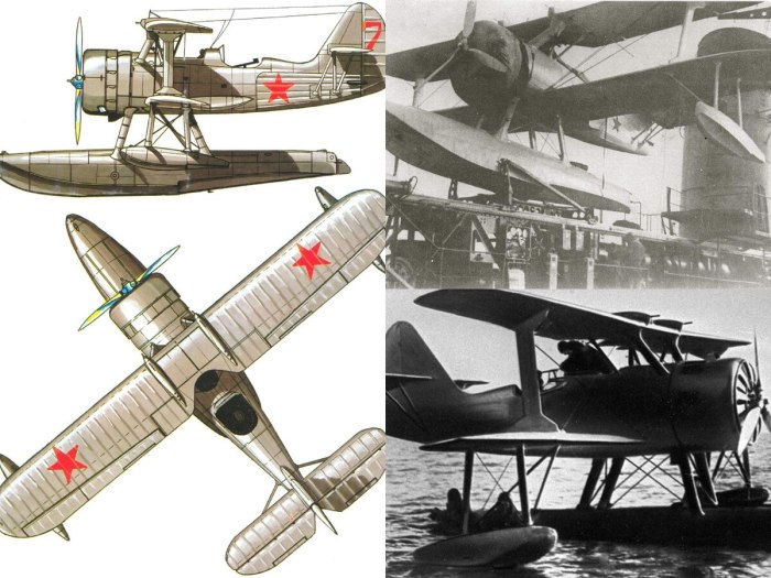 Бериев кор-2 (бе-4)