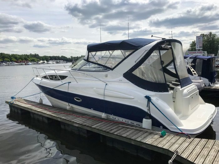 Bayliner 305