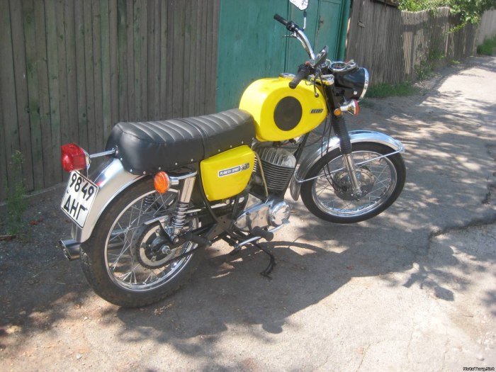 ИЖ ПС 500