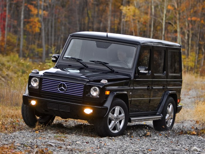 Mercedes-Benz g500 w463