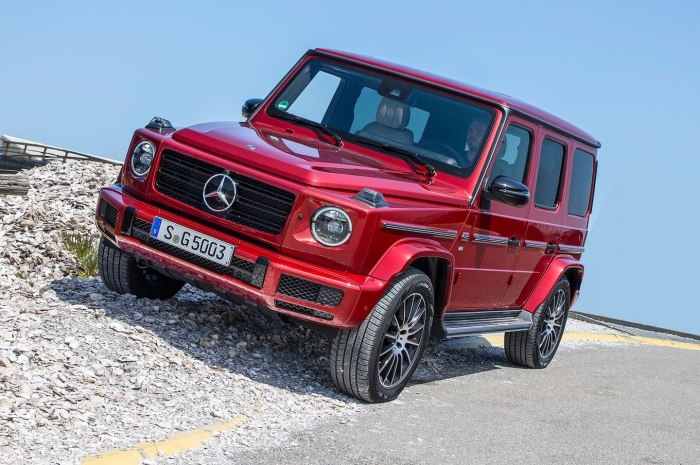 Mercedenz Bendz g class g 500